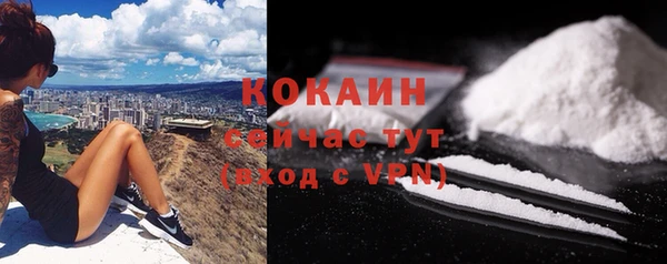 сатива Армянск