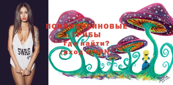 СК Балахна
