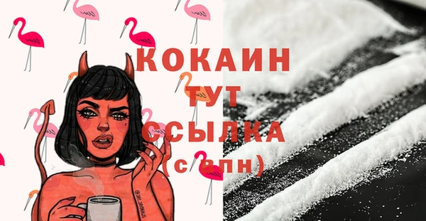 дживик Аркадак