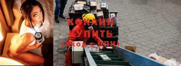 сатива Армянск