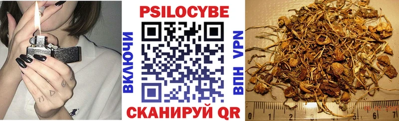 Галлюциногенные грибы Magic Shrooms  продажа наркотиков  Онега 